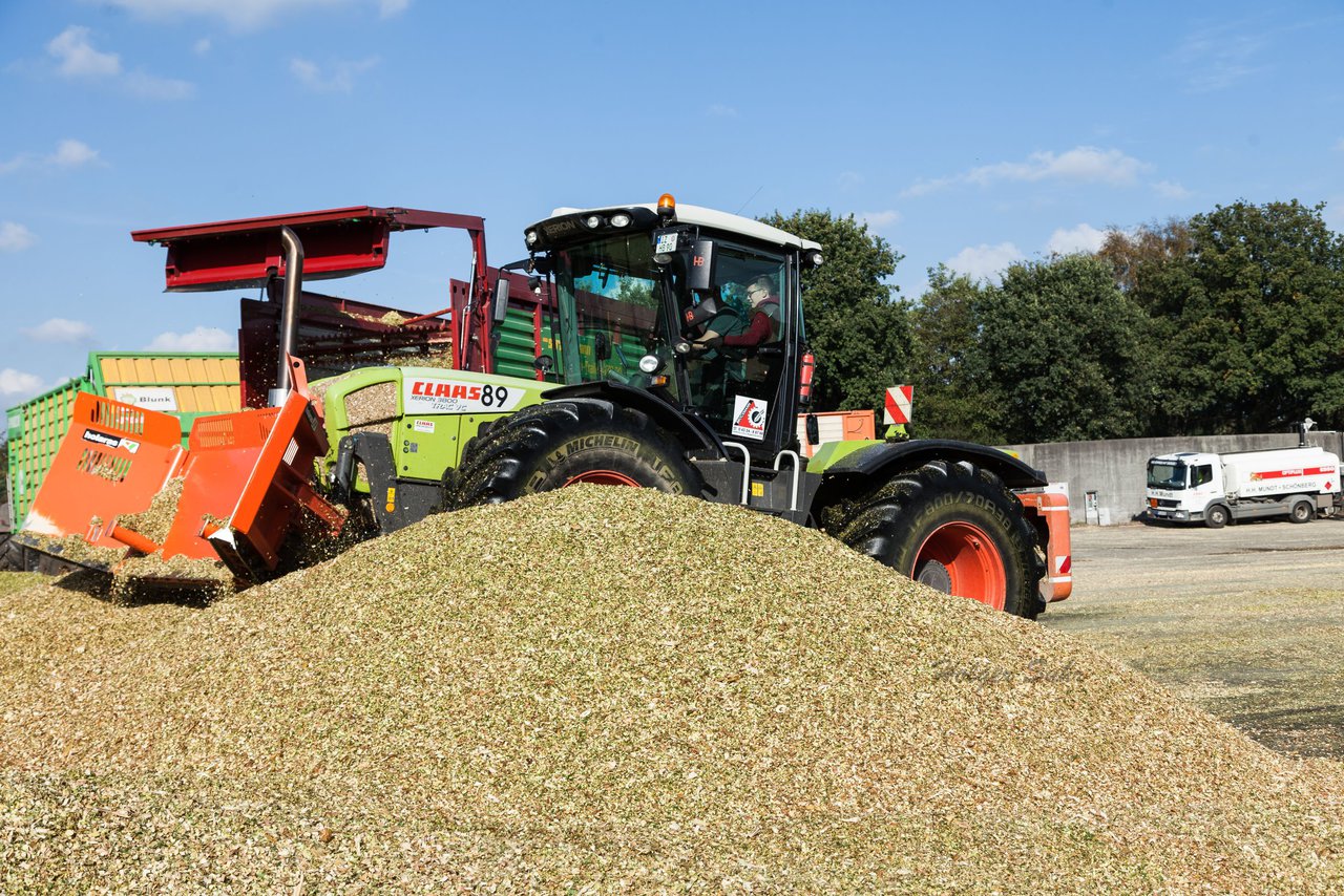 Bild 121 - Maisernte